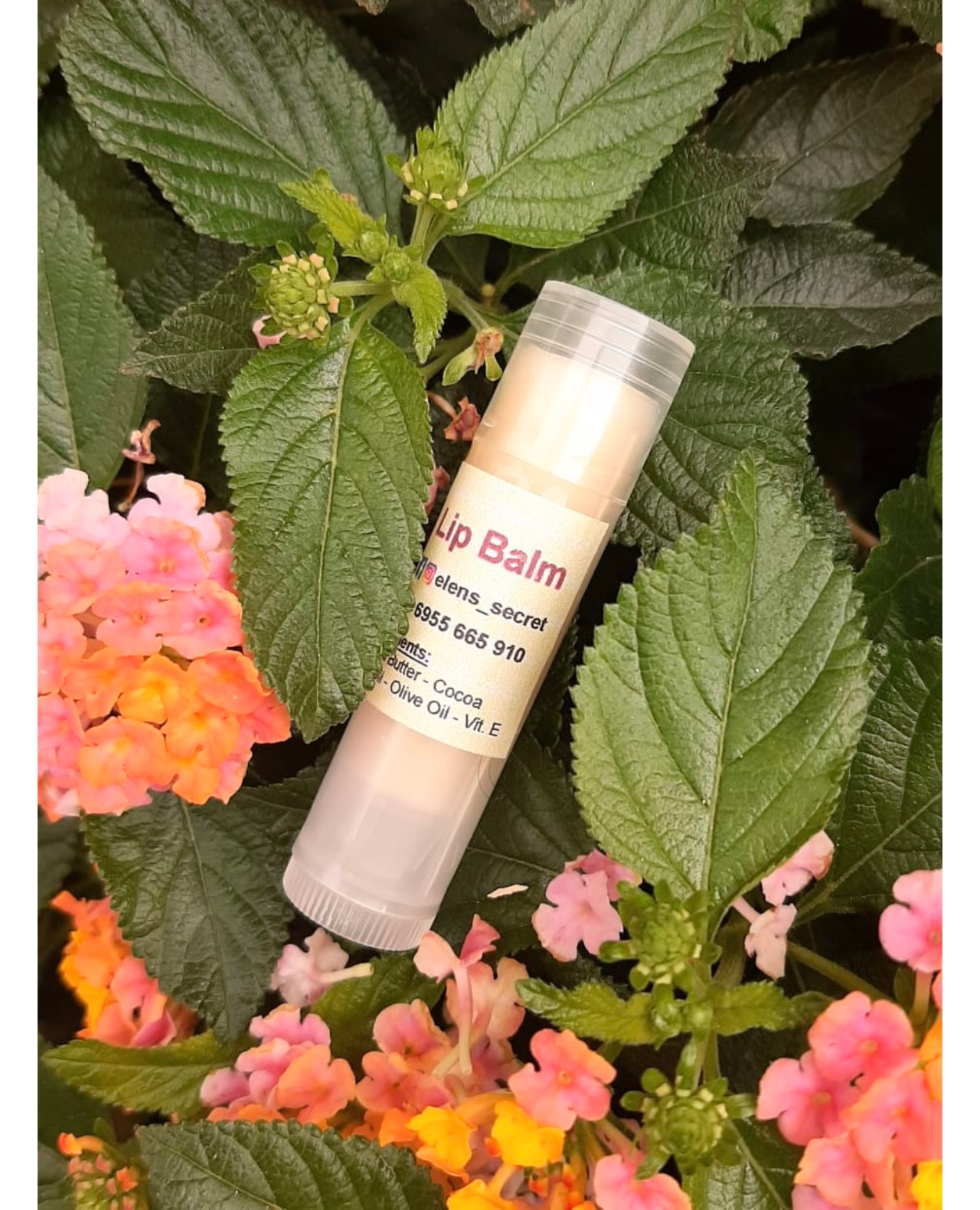 9e35fbc26a1c49ac8387542c10755361 Elens Secret Elens Secret Handmade Natural Cosmetics
